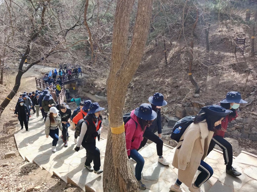 北京户外拓展训练